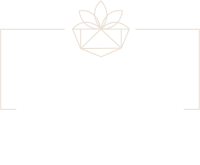 sassy logo 3 inv sassy logo 3 inv
